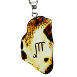 Beautiful & Unique Baltic Amber Zodiac Pendants