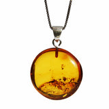 Baltic Amber Pendant - Disc