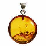 Baltic Amber Pendant - Disc