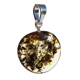 Baltic Amber Pendant - Disc