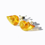 Handcarved Honey Baltic Amber Studs - Shells