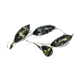 Modern Baltic Amber Brooch