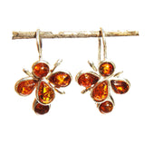 Honey Baltic Amber Earrings