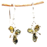 Baltic Amber Earrings - Trio