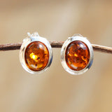 Oval Baltic Amber Studs