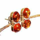Double Honey Amber Silver Studs