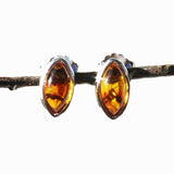 Little Green or Honey Baltic Amber Silver Studs