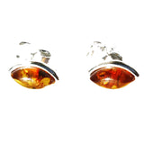Little Green or Honey Baltic Amber Silver Studs