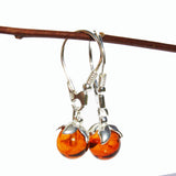 Honey Baltic Amber Earrings - Berries
