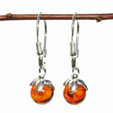 Honey Baltic Amber Earrings - Berries