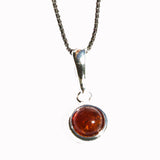 Honey Baltic Amber Pendant - Little Bead
