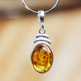 Baltic Amber Pendant - Oval