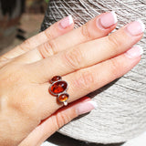 Classic Baltic Amber Ring - Triple Oval