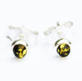 Little Green Baltic Amber Studs - Dots