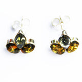 Baltic Amber Silver Studs - Leaves