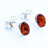 Little Honey Baltic Amber Studs - Ovals