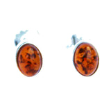 Little Honey Baltic Amber Studs - Ovals