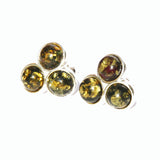 Baltic Amber Silver Studs - Trio