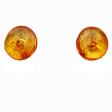 Baltic Amber Studs - Big Circles
