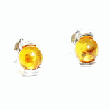 Honey Baltic Amber Stud Earrings