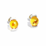 Honey Baltic Amber Stud Earrings