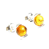 Honey Baltic Amber Stud Earrings