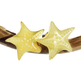 Amber Stud Earrings - Starts