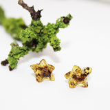 Amber Stud Earrings - Starts