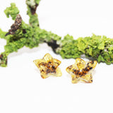 Amber Stud Earrings - Starts