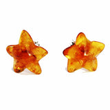 Amber Stud Earrings - Starts
