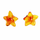 Amber Stud Earrings - Starts