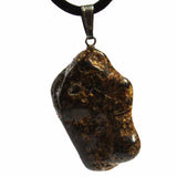 Grey-Green Polished Baltic Amber Talismans