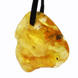 Honey Polished Baltic Amber Talismans