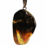 Grey-Green Polished Baltic Amber Talismans