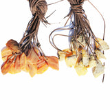 Honey or Grey Unpolished Baltic Amber Talisman