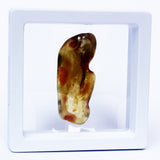 Polished Natural Amber (white box)