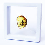 Polished Natural Amber (white box)