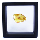 Polished Natural Amber (black box)