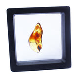 Polished Natural Amber (black box)