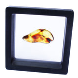 Polished Natural Amber (black box)