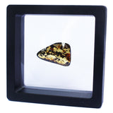Polished Natural Amber (black box)
