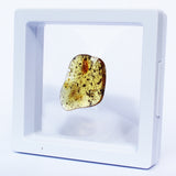 Polished Natural Amber (white box)