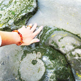 Elegant Baltic Amber Bracelet (Cognac, Lemon, Cherry, Butterscotch, Multicolour)