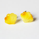 Handcarved Honey Baltic Amber Studs - Shells1