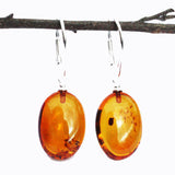 Baltic Amber Earrings - Ovals
