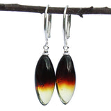 Beautiful Baltic Amber Earrings - RAINBOW