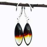 Beautiful Baltic Amber Earrings - RAINBOW