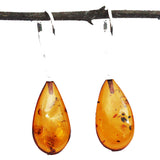 Large Baltic Amber Earrings Teardrops