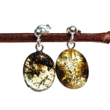Baltic Amber Oval Studs - with sterling silver fittings.