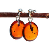 Baltic Amber Oval Studs - with sterling silver fittings.